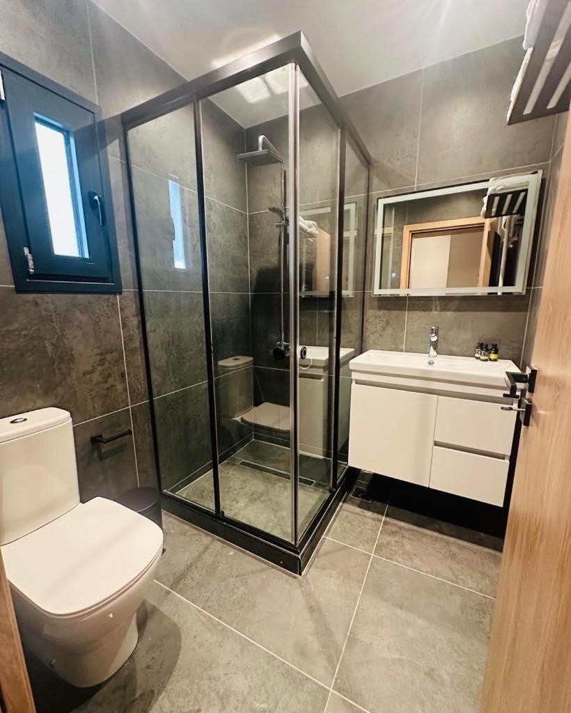 Iasonos 9 Luxury Apartment Trikala (Thessaly)